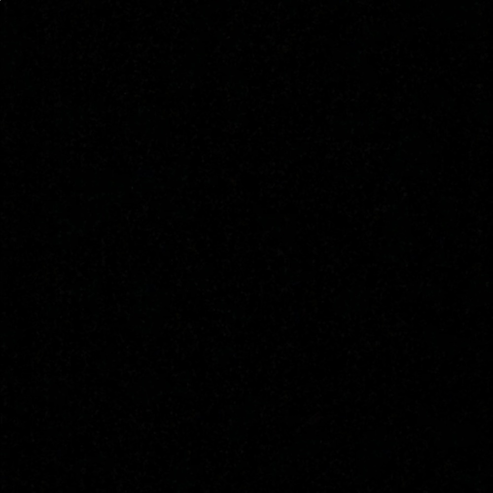 Meet your Posher, Jasmyn